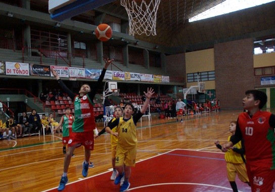 Puntaje ideal ante Ceci 