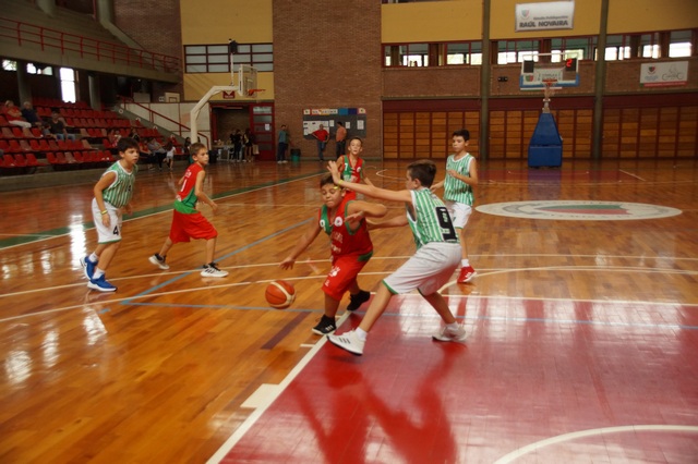 Fin de semana a puro Básquet