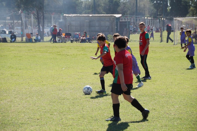 Retomamos entrenamientos de Cebollitas, Fútbol Femenino y Fútbol Recreativo
