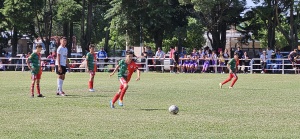 Imagen de la galería